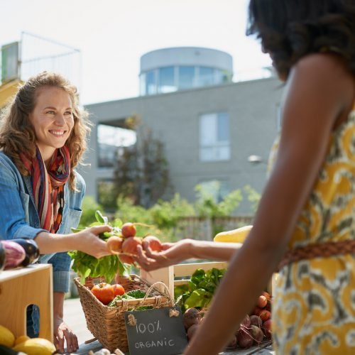 farmers-market-sunshine-cosat-1